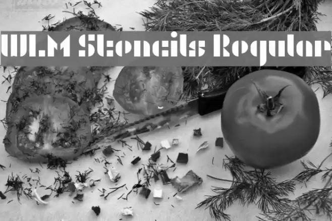 WLM Stencils Regular Font examples