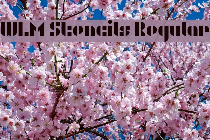 WLM Stencils Regular Example 3