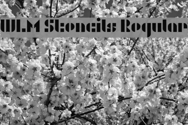 WLM Stencils Regular Font examples