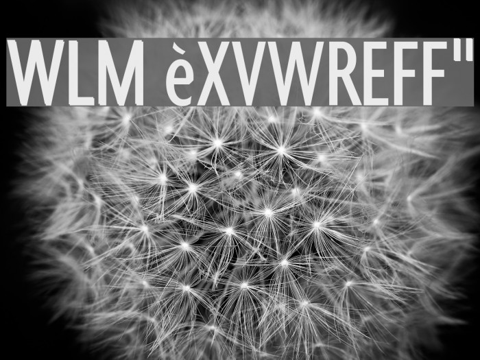 WLM èxvwreff` Font examples