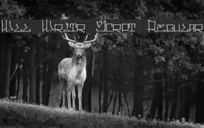 Wll Writr Scrpt Regular Font examples