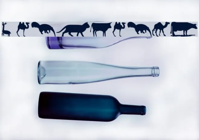 wmanimals2 Example 1
