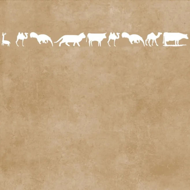 wmanimals2 Example 3