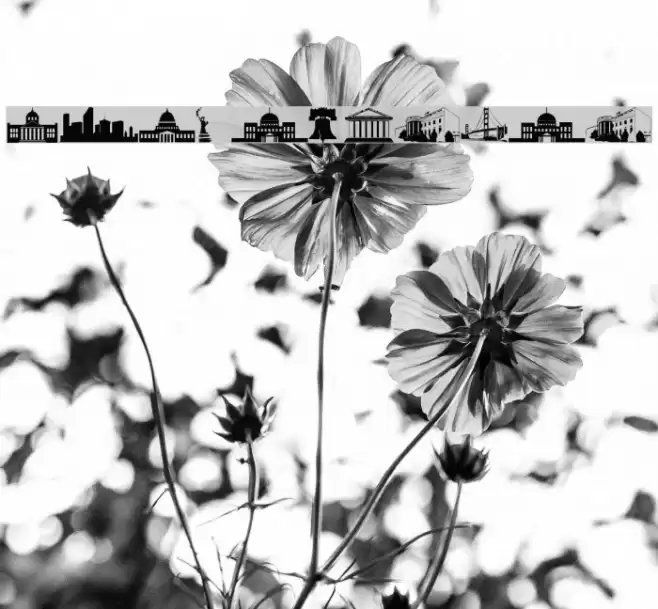 wmarchitect1 Font examples