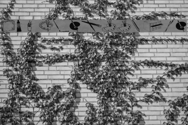 wmartsupplies Font examples