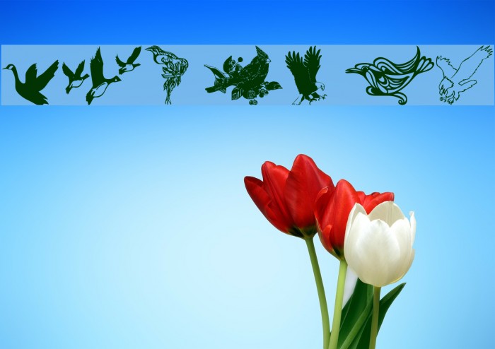 wmbirds1 Font examples