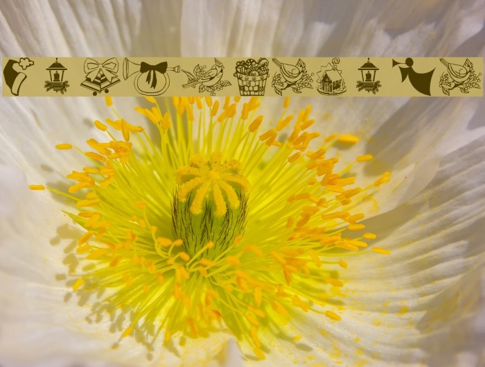 wmchristmas2 Example 3