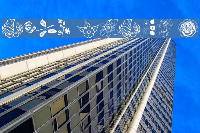 wmflowers1 Example 2