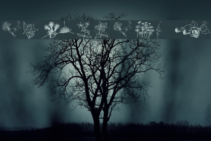 wmflowers2 Example 1