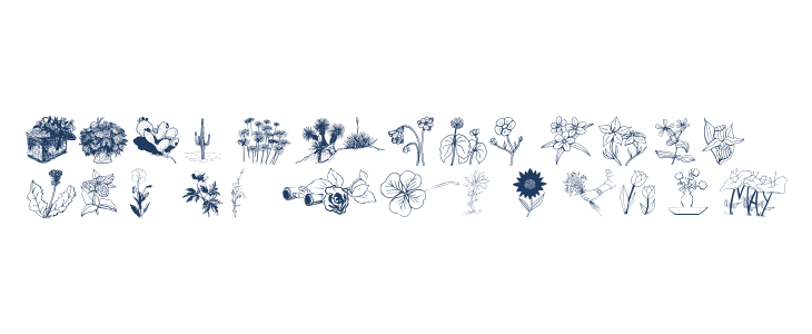 wmflowers2 Lowercase