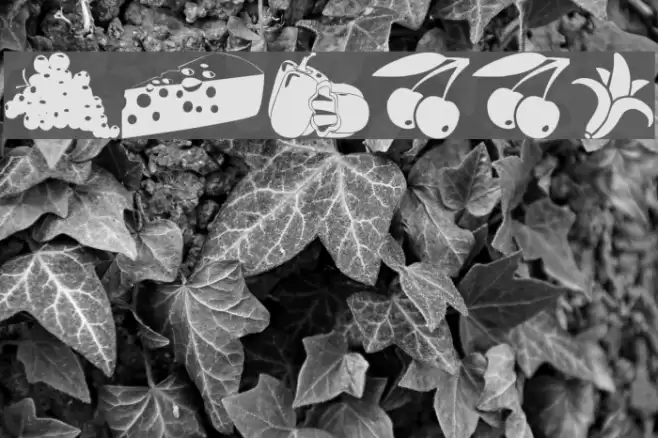 wmfood1 Font examples