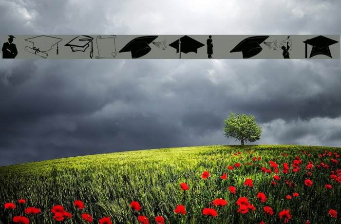 wmgraduate Example 3