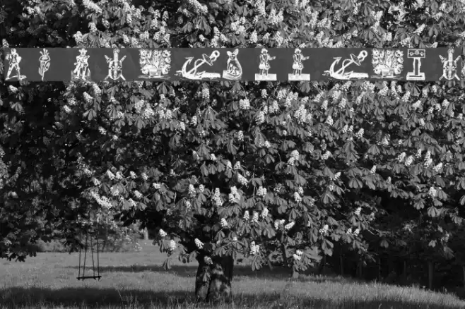 wmrenaissance1 Font examples