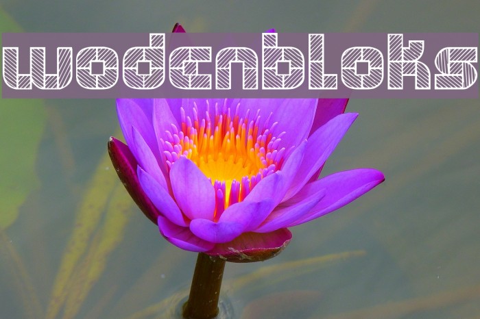 WODENBLOKS Font examples