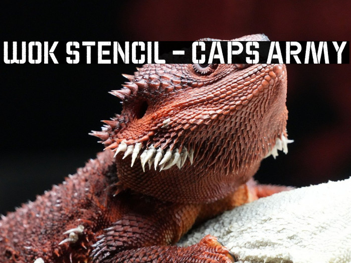 WOK STENCIL - CAPS ARMY Example 3