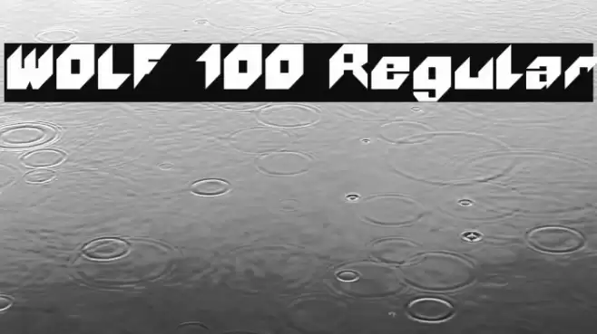 WOLF 100 Regular Schriftart examples