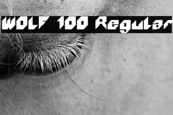 WOLF 100 Regular Schriftart examples