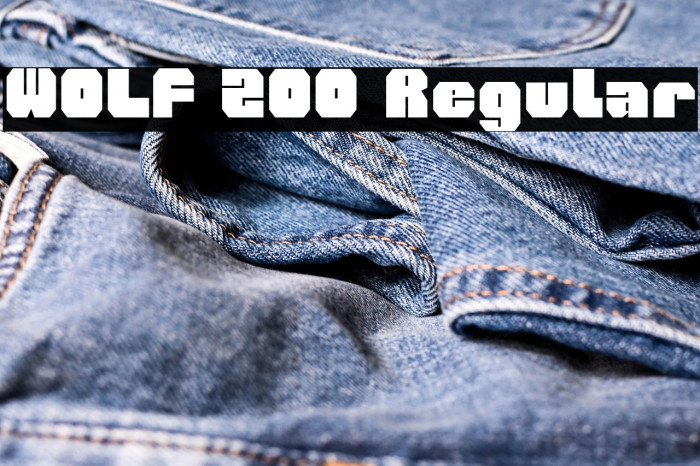 WOLF 200 Regular Example 1