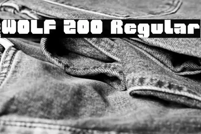 WOLF 200 Regular Font examples