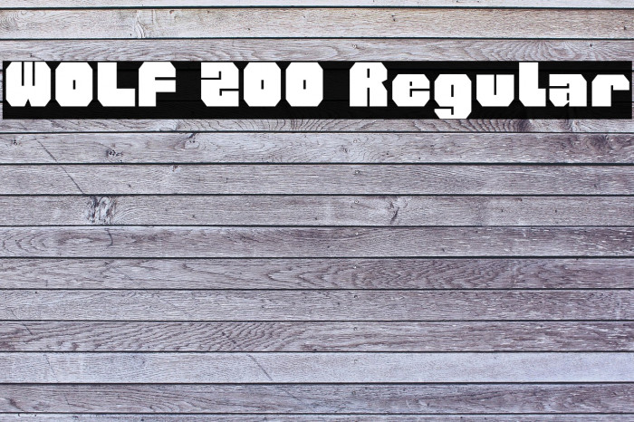WOLF 200 Regular Example 2