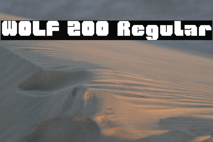 WOLF 200 Regular Example 3