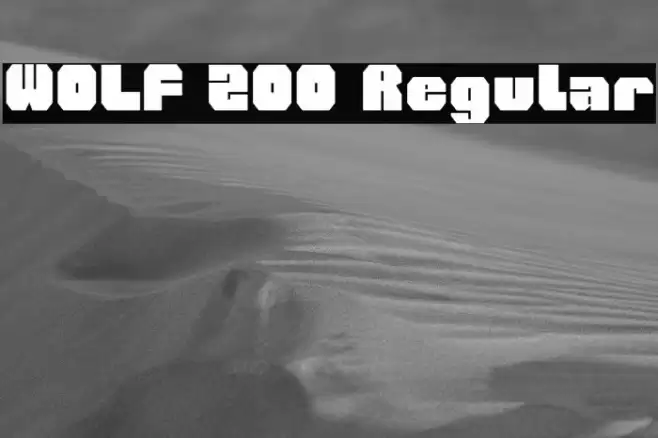 WOLF 200 Regular Font examples