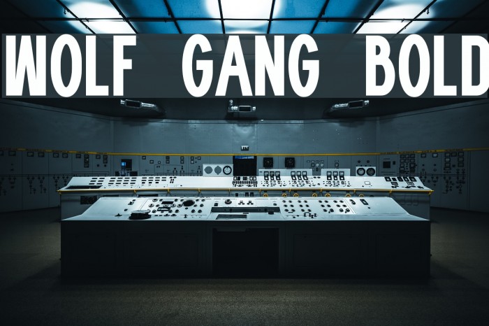 WOLF GANG BOLD Fonte examples