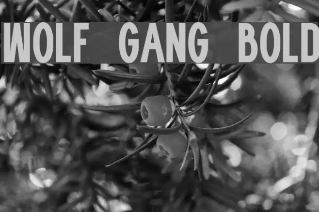 WOLF GANG BOLD Font examples
