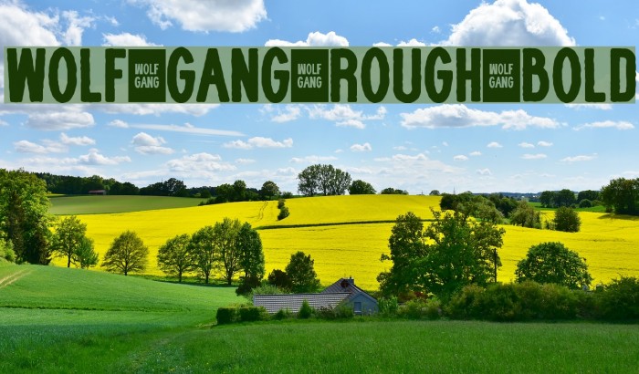 WOLF GANG ROUGH BOLD Fonte examples