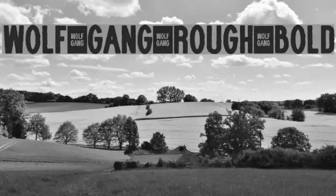 WOLF GANG ROUGH BOLD Font examples
