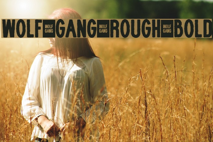 WOLF GANG ROUGH BOLD Fonte examples