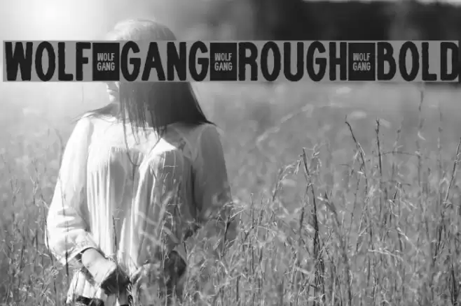WOLF GANG ROUGH BOLD Font examples