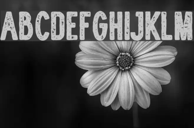 WOLF GANG ROUGH VINTAGE BOLD Font examples