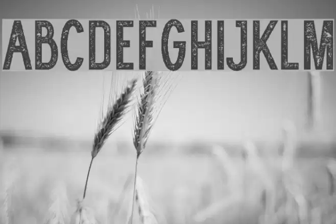 WOLF GANG ROUGH VINTAGE Font examples