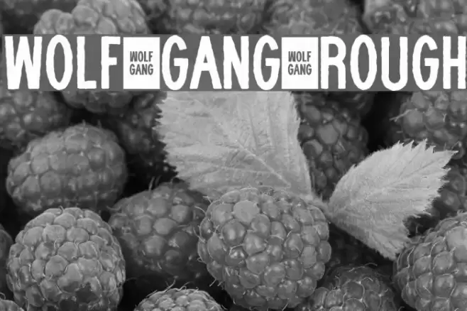 WOLF GANG ROUGH Font examples