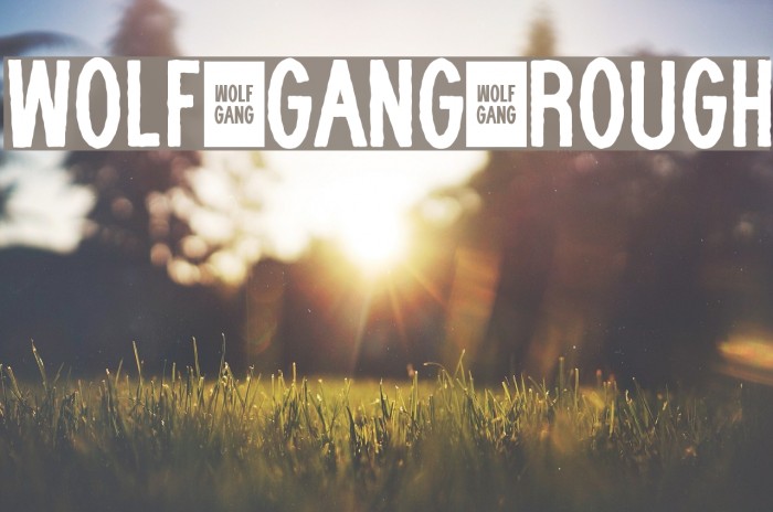 WOLF GANG ROUGH Font examples