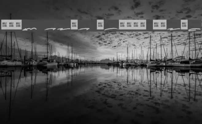 WOLF GANG SCRIPT SWASH Font examples