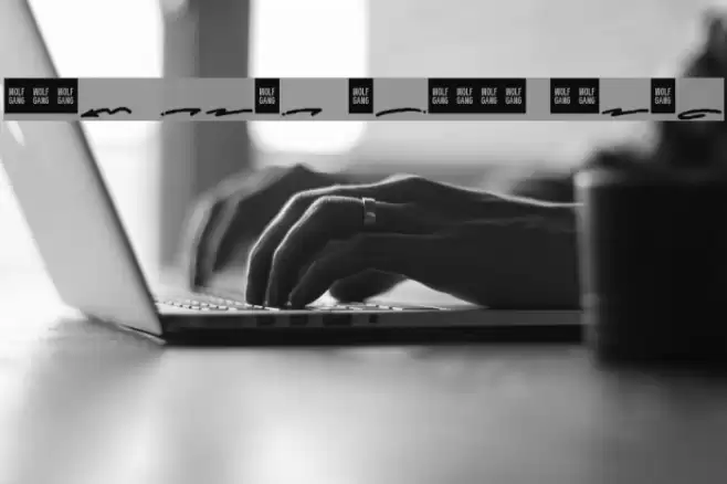 WOLF GANG SCRIPT SWASH Font examples