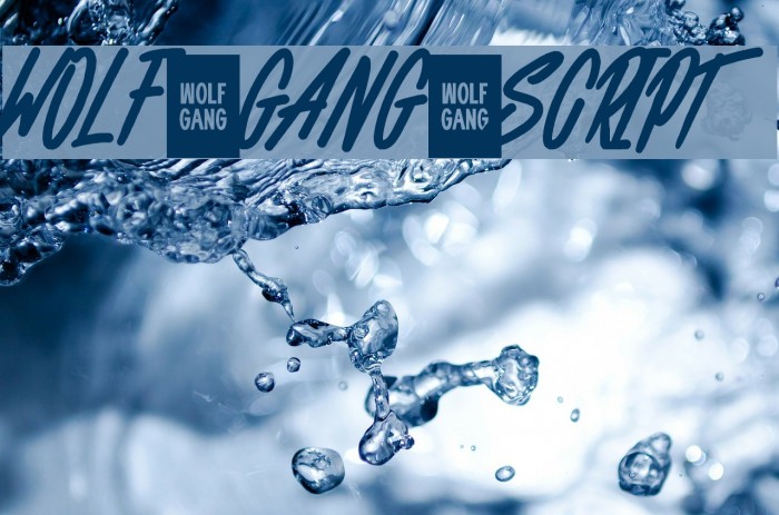 WOLF GANG SCRIPT Fonte examples