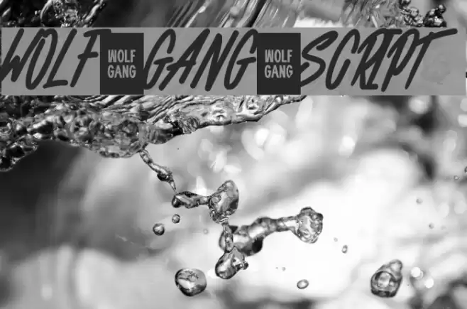 WOLF GANG SCRIPT Font examples