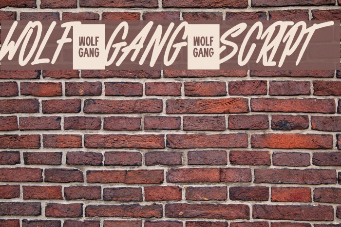 WOLF GANG SCRIPT Fonte examples