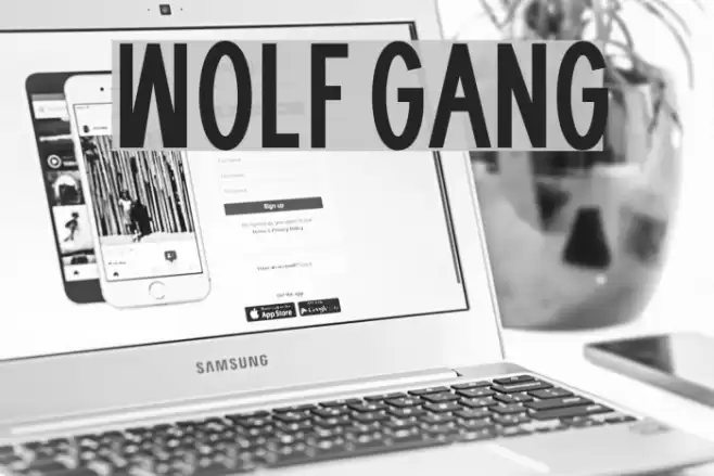 WOLF GANG फ़ॉन्ट examples