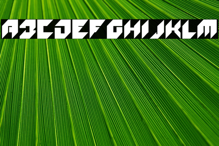 WOLF100-Regular Example 1