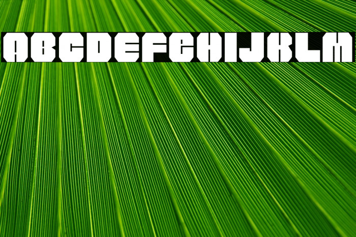 WOLF200-Regular Example 1