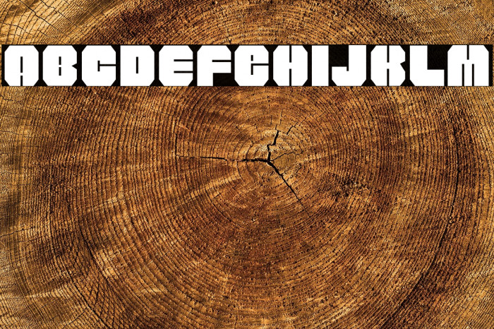 WOLF200-Regular Example 2