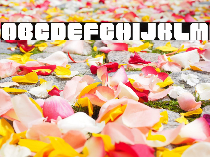 WOLF200-Regular Example 3