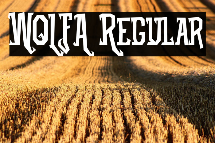 WOLFA Regular Example 1