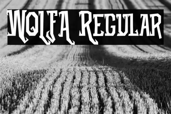 WOLFA Regular Font examples