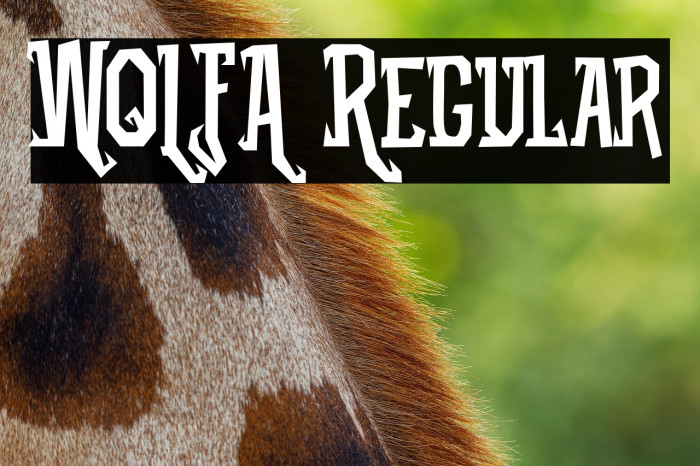 WOLFA Regular Example 3