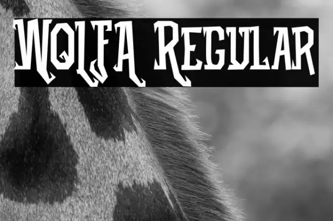 WOLFA Regular Font examples